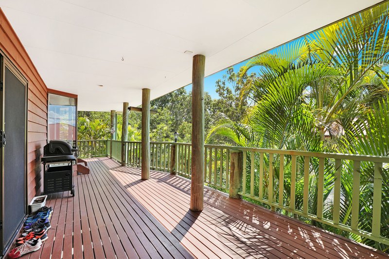 Photo - 7 Karawatha Street, Buderim QLD 4556 - Image 5