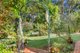 Photo - 7 Knoll Road, Tamborine Mountain QLD 4272 - Image 4