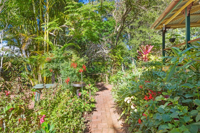 Photo - 7 Knoll Road, Tamborine Mountain QLD 4272 - Image 22