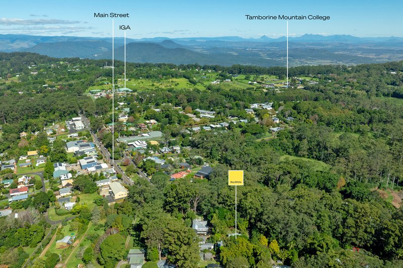 Photo - 7 Knoll Road, Tamborine Mountain QLD 4272 - Image 25