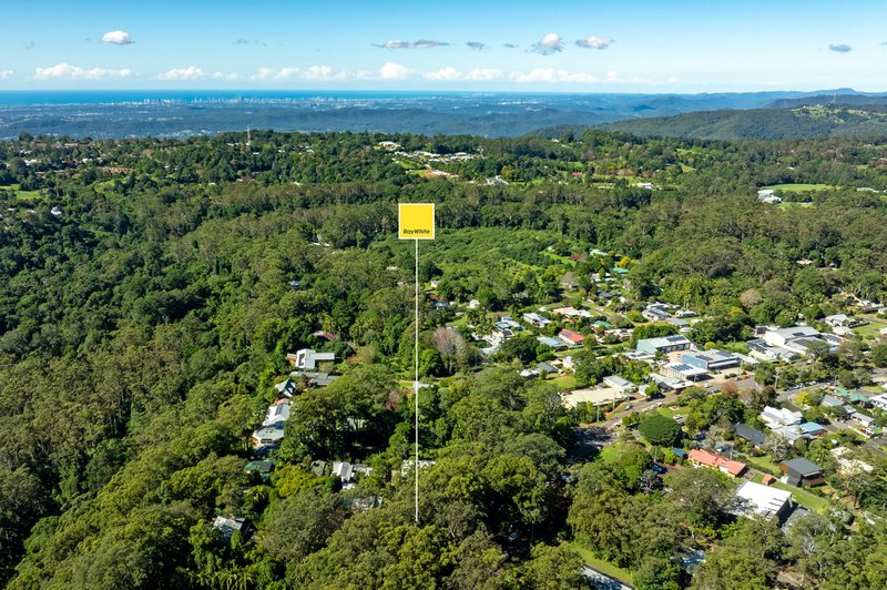 Photo - 7 Knoll Road, Tamborine Mountain QLD 4272 - Image 26