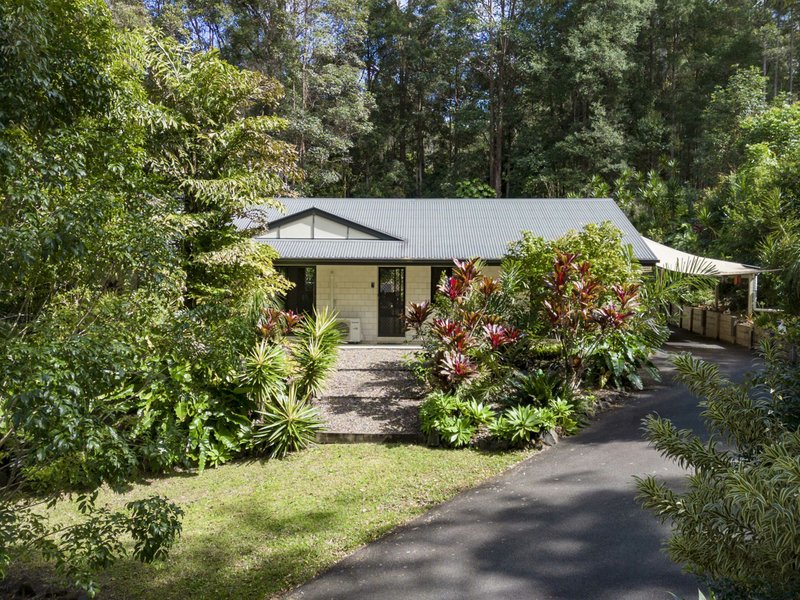 Photo - 7 Leafy Lane, Mooloolah Valley QLD 4553 - Image 14