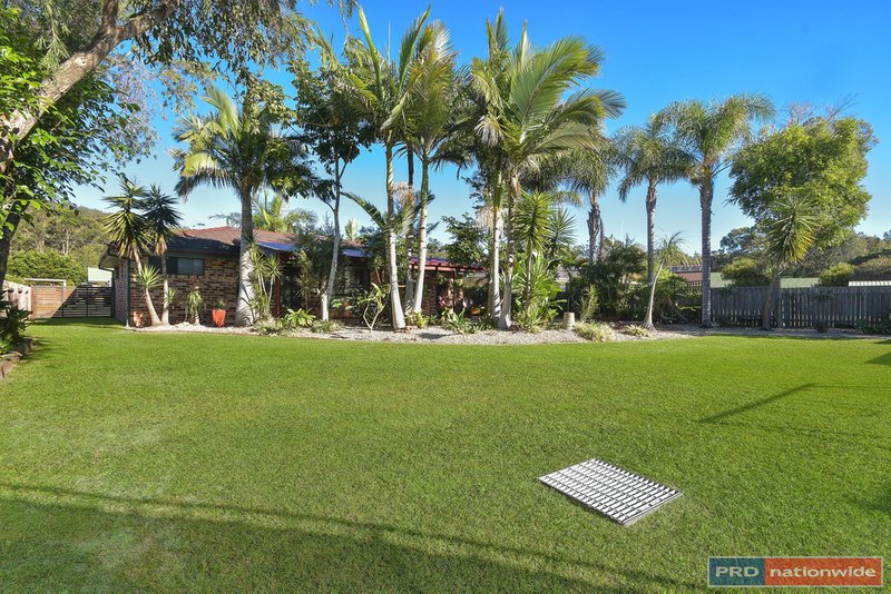 Photo - 7 Lilli Pilli Close, Lakewood NSW 2443 - Image 10