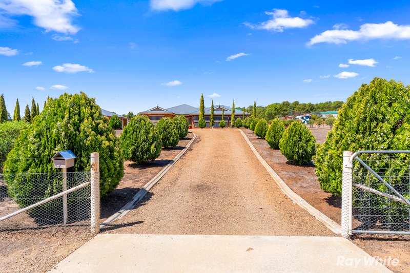 Photo - 7 Loughan Road, Junee NSW 2663 - Image 1