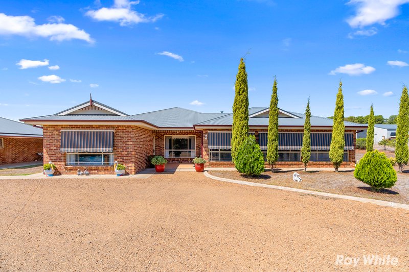Photo - 7 Loughan Road, Junee NSW 2663 - Image 12