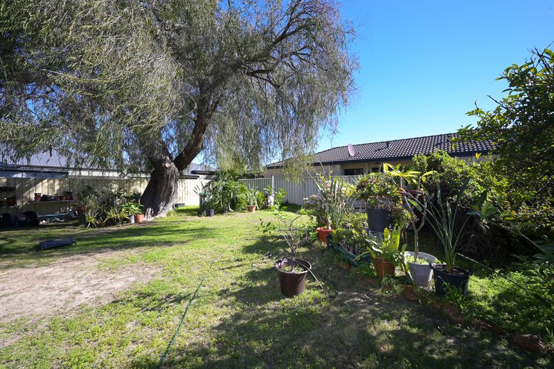 Photo - 7 Lowther Terrace, Nollamara WA 6061 - Image 8