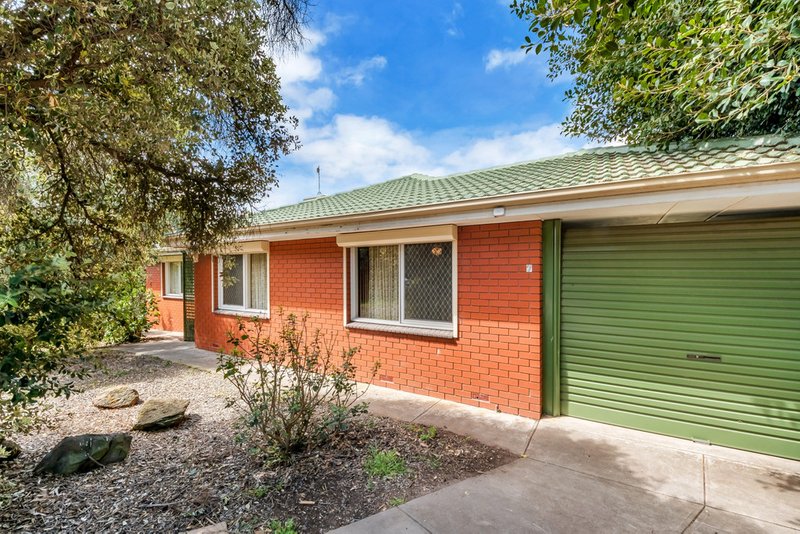 7 Lutana Court, Morphett Vale SA 5162