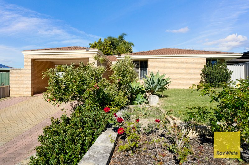 Photo - 7 Magna Cove, Mirrabooka WA 6061 - Image 1
