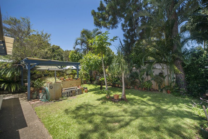 Photo - 7 Magnolia Avenue, Hollywell QLD 4216 - Image 13