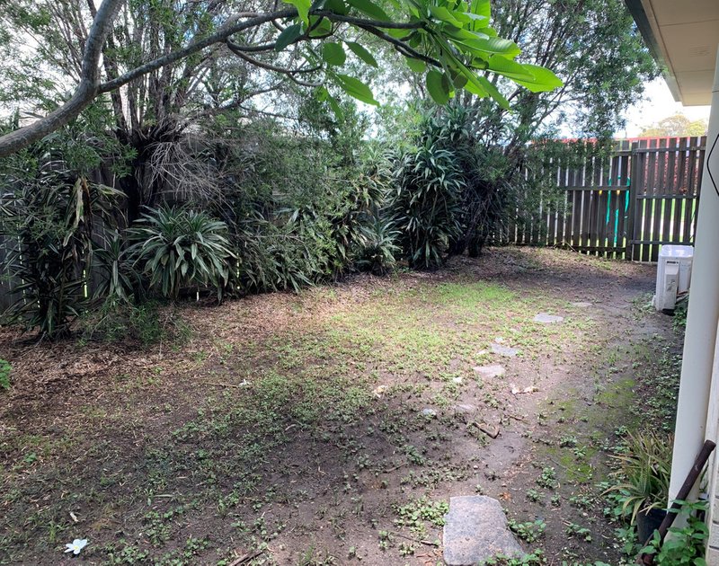 Photo - 7 Malcolm Court, Point Vernon QLD 4655 - Image 12