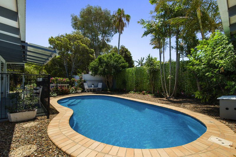 Photo - 7 Malkana Cres , Buddina QLD 4575 - Image 7