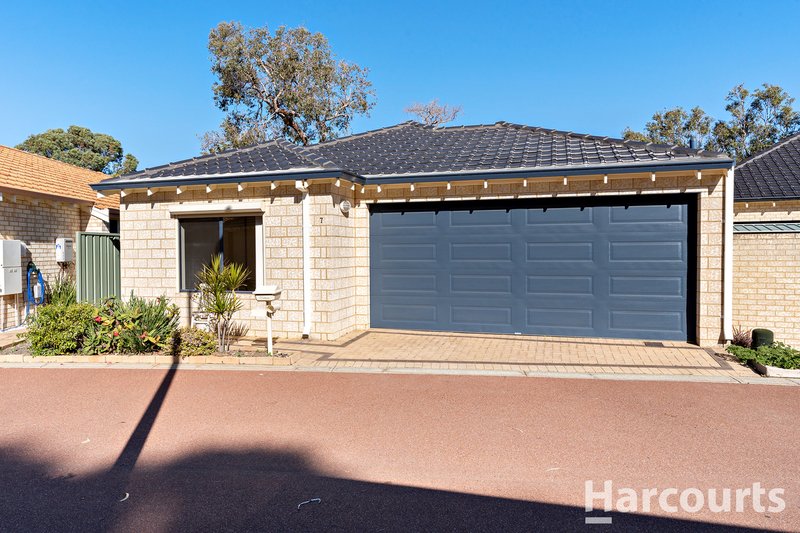 Photo - 7 Marigold Lane, Falcon WA 6210 - Image 3