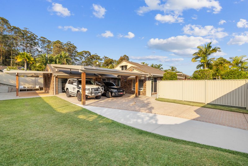 Photo - 7 Mclaren Place, Buderim QLD 4556 - Image 14