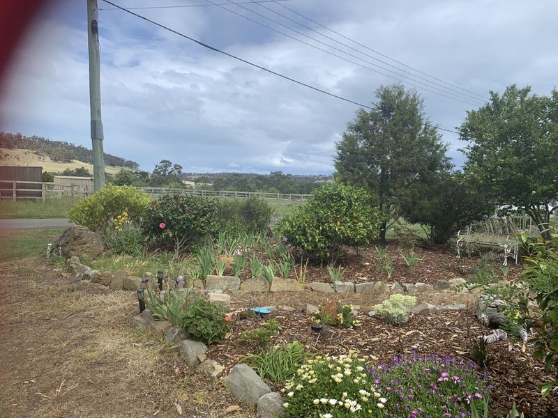 Photo - 7 Meredith Street, Triabunna TAS 7190 - Image 2