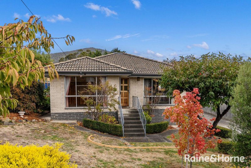 Photo - 7 Mitchell Avenue, Rosetta TAS 7010 - Image 1
