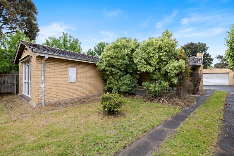 Photo - 7 Moonda Grove, Cheltenham VIC 3192 - Image 3