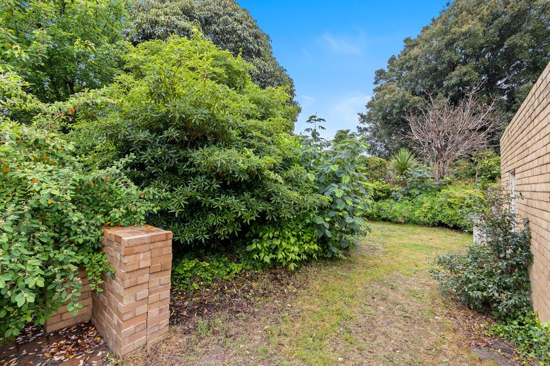 Photo - 7 Moonda Grove, Cheltenham VIC 3192 - Image 7