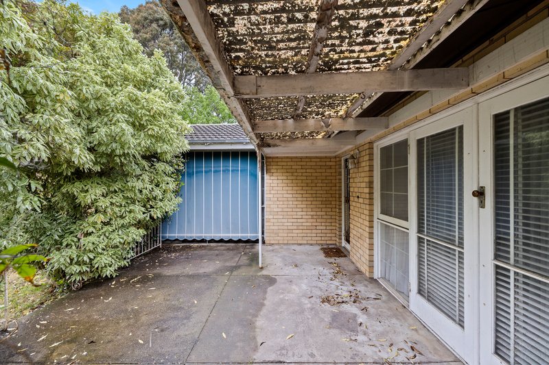 Photo - 7 Moonda Grove, Cheltenham VIC 3192 - Image 10