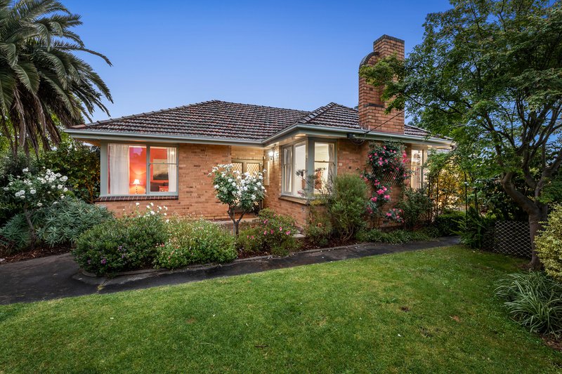 Photo - 7 Nash Road, Box Hill South VIC 3128 - Image 11