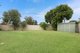 Photo - 7 New Illawarra Road, Bexley North NSW 2207 - Image 10