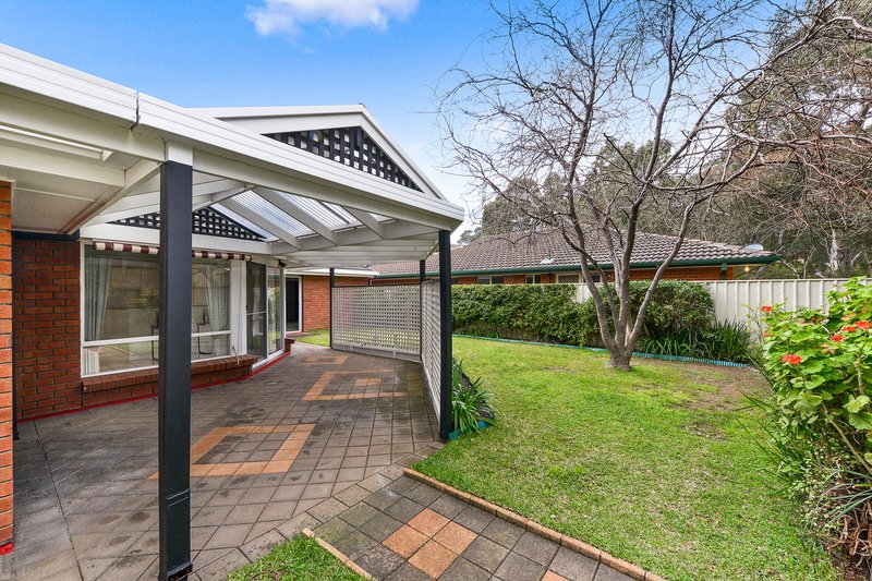 Photo - 7 Nicholas Walk, Aberfoyle Park SA 5159 - Image 12