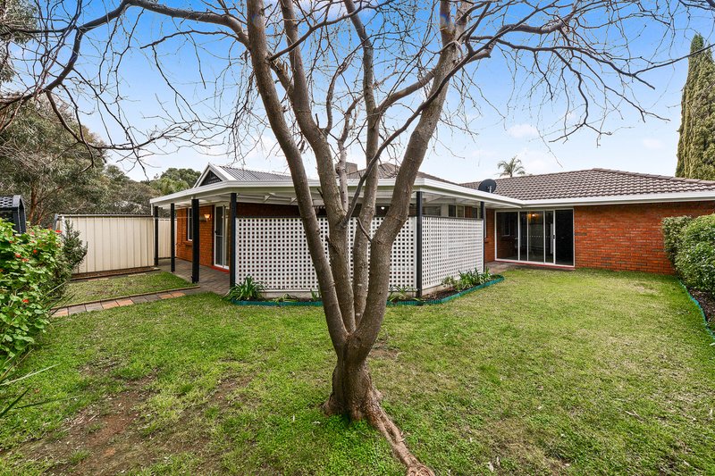Photo - 7 Nicholas Walk, Aberfoyle Park SA 5159 - Image 14