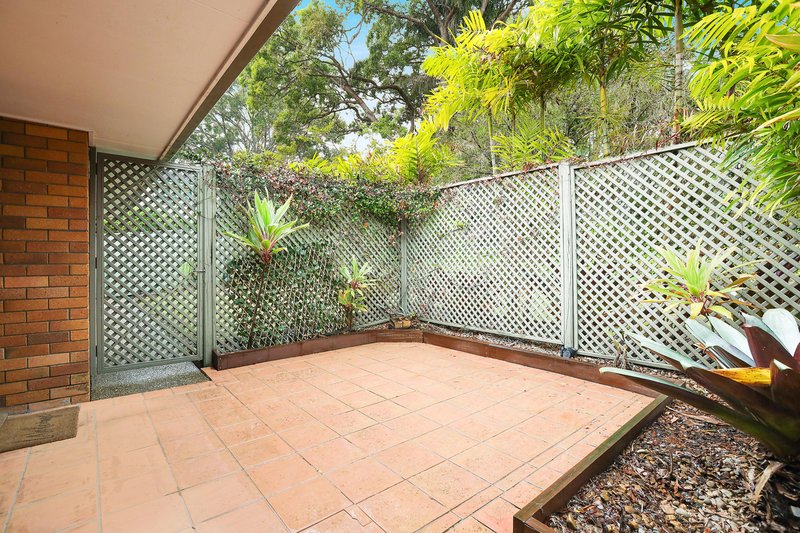 Photo - 7 Nyora Street, Southport QLD 4215 - Image 11