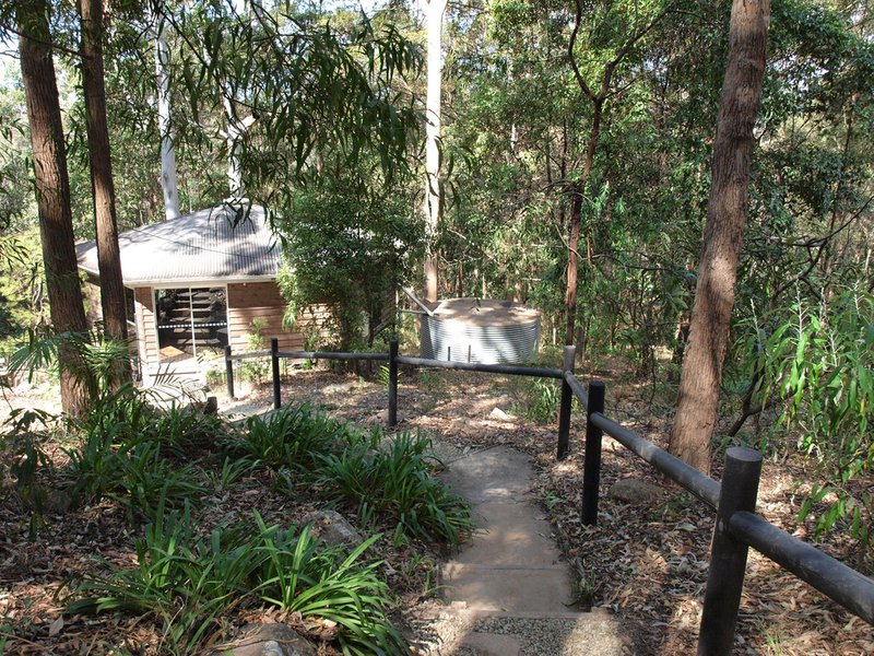 Photo - 7 Orchis Drive, Tamborine Mountain QLD 4272 - Image 8