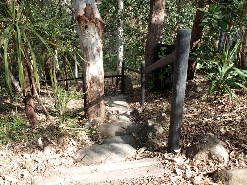 Photo - 7 Orchis Drive, Tamborine Mountain QLD 4272 - Image 9