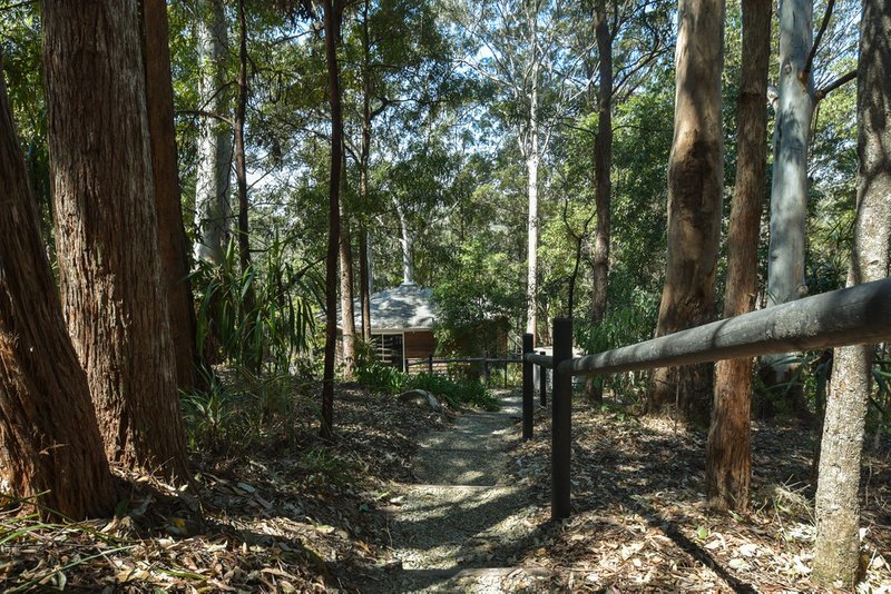 Photo - 7 Orchis Drive, Tamborine Mountain QLD 4272 - Image 10