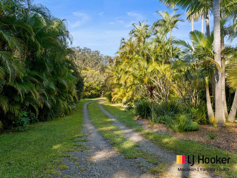 Photo - 7 Paddymelon Road, Woombah NSW 2469 - Image 17