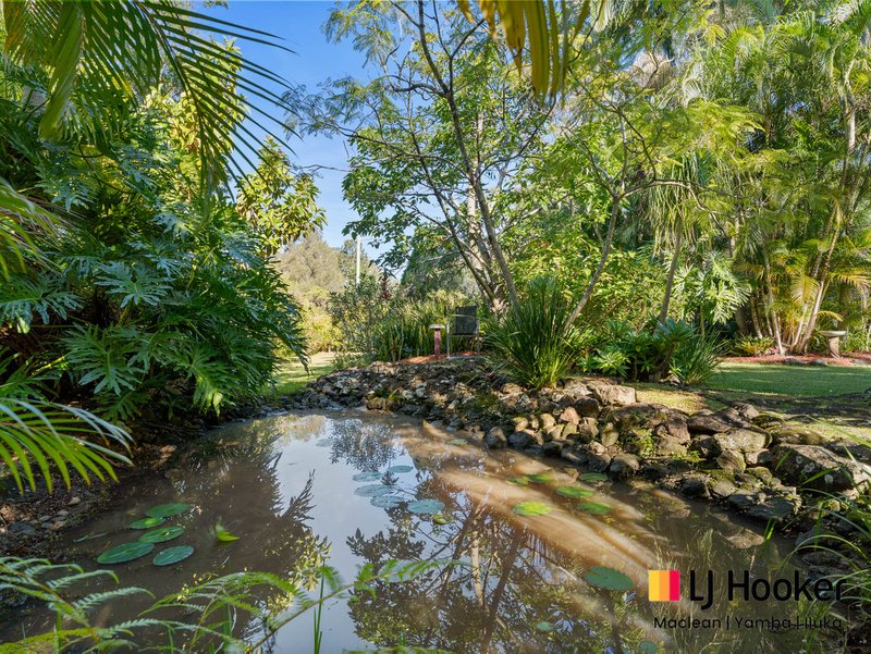 Photo - 7 Paddymelon Road, Woombah NSW 2469 - Image 19