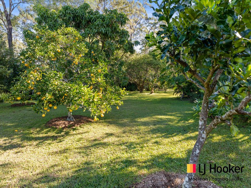 Photo - 7 Paddymelon Road, Woombah NSW 2469 - Image 20