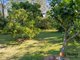 Photo - 7 Paddymelon Road, Woombah NSW 2469 - Image 20