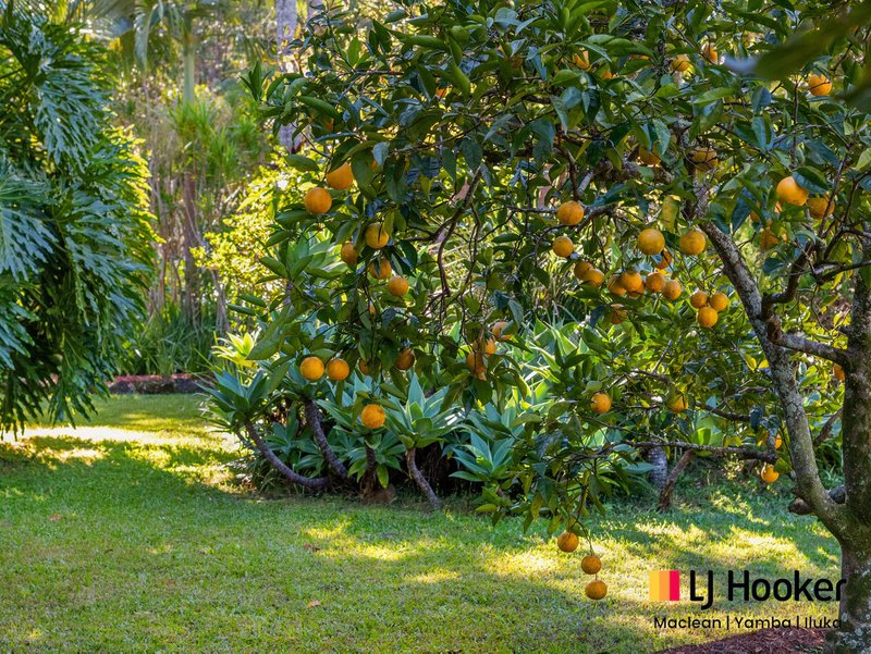 Photo - 7 Paddymelon Road, Woombah NSW 2469 - Image 23