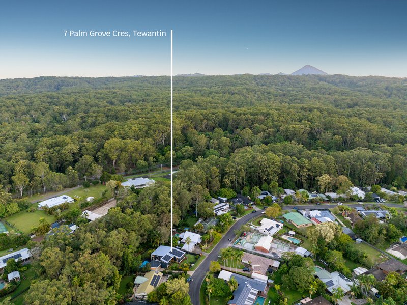 Photo - 7 Palm Grove Crescent, Tewantin QLD 4565 - Image 32