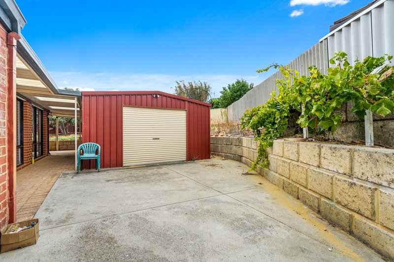 Photo - 7 Pampus Court, Mirrabooka WA 6061 - Image 12