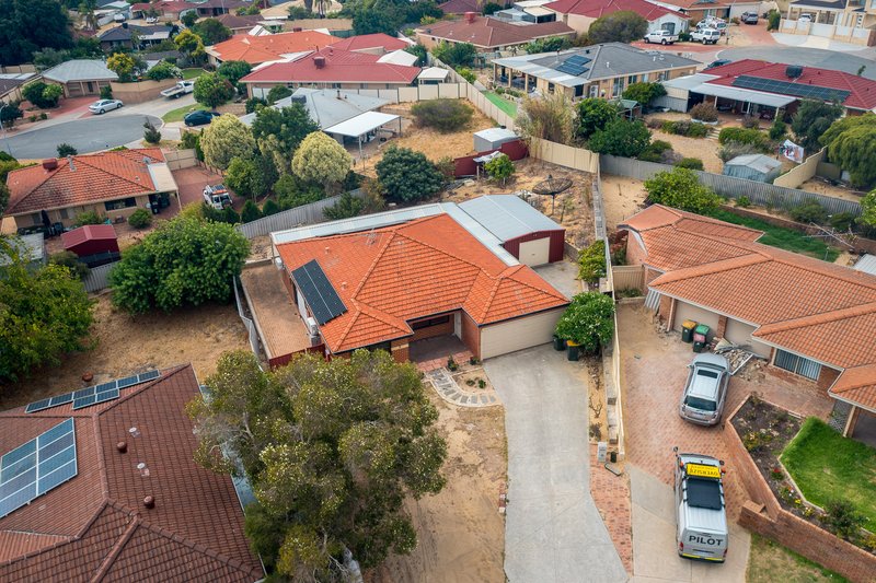 Photo - 7 Pampus Court, Mirrabooka WA 6061 - Image 16