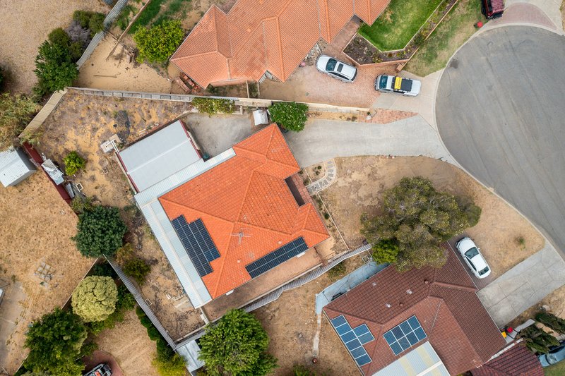 Photo - 7 Pampus Court, Mirrabooka WA 6061 - Image 17