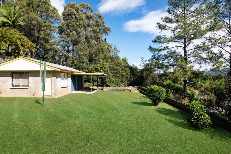 Photo - 7 Park Avenue, Murwillumbah NSW 2484 - Image 12