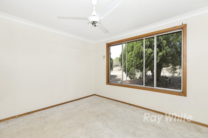 Photo - 7 Park Street, Gillieston Heights NSW 2321 - Image 10