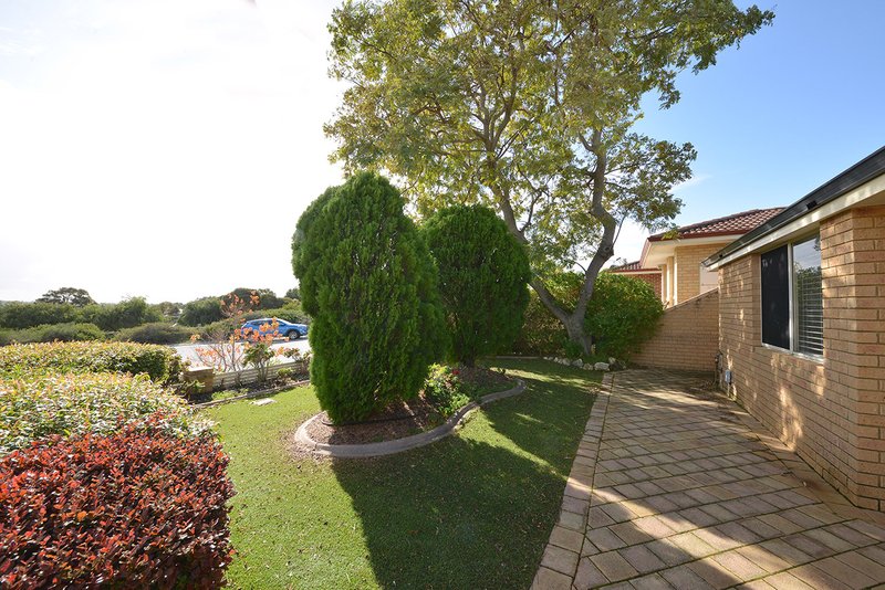 Photo - 7 Pelly Cove, Joondalup WA 6027 - Image 3