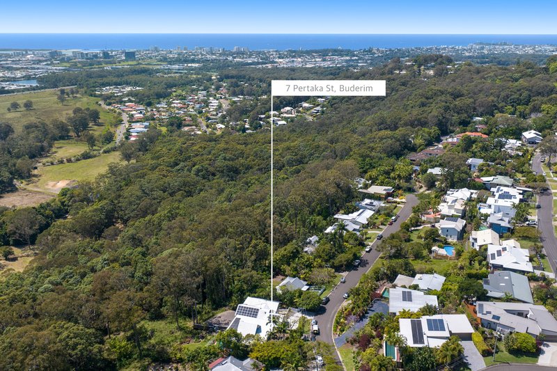 Photo - 7 Pertaka Street, Buderim QLD 4556 - Image 16