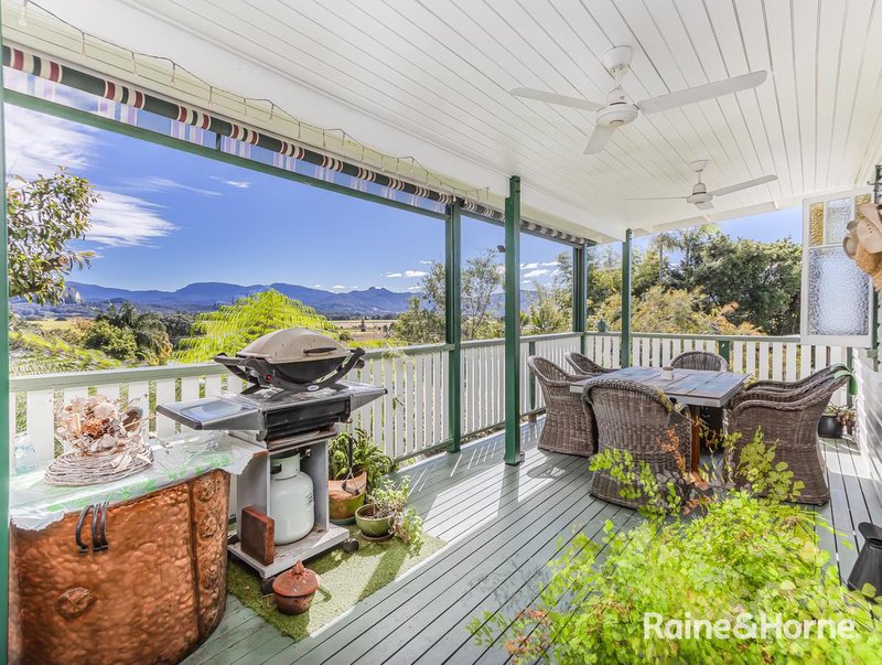 Photo - 7 Peter Street, Murwillumbah NSW 2484 - Image 8