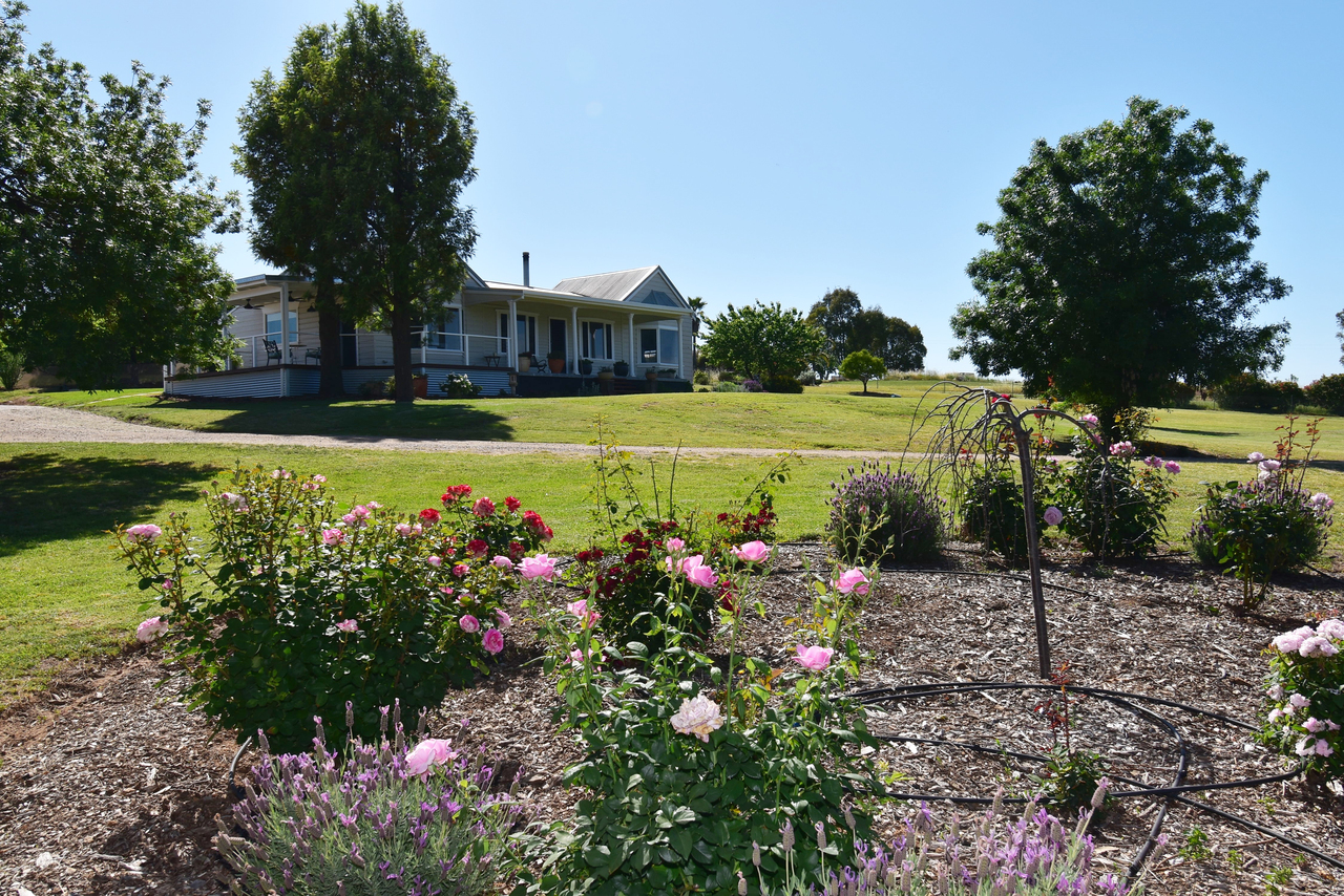 3-bedroom house at 7 Pindari Grove, Montefiores, NSW 2820, Dubbo, New South Wales