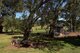 Photo - 7 Pindari Grove, Montefiores NSW 2820 - Image 32