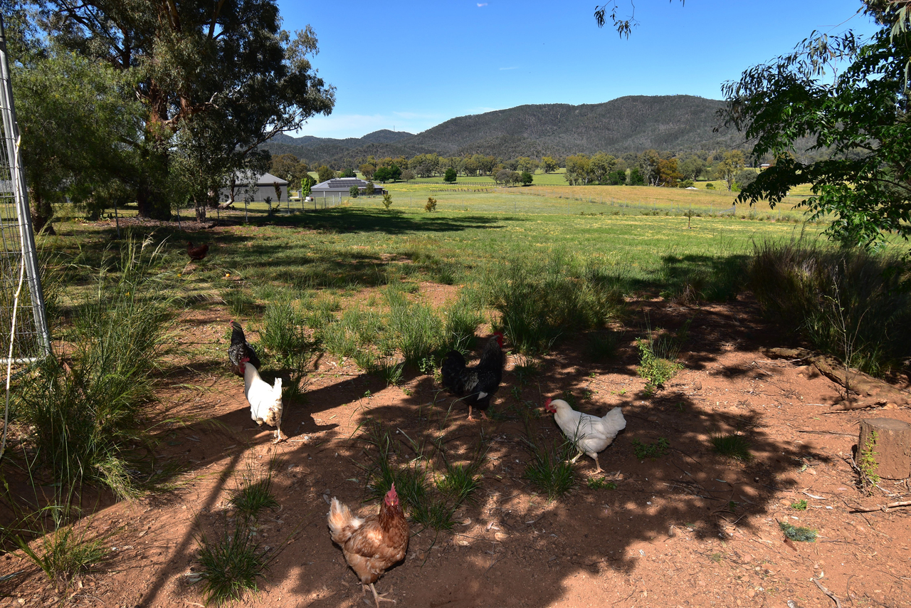 3-bedroom house at 7 Pindari Grove, Montefiores, NSW 2820, Dubbo, New South Wales