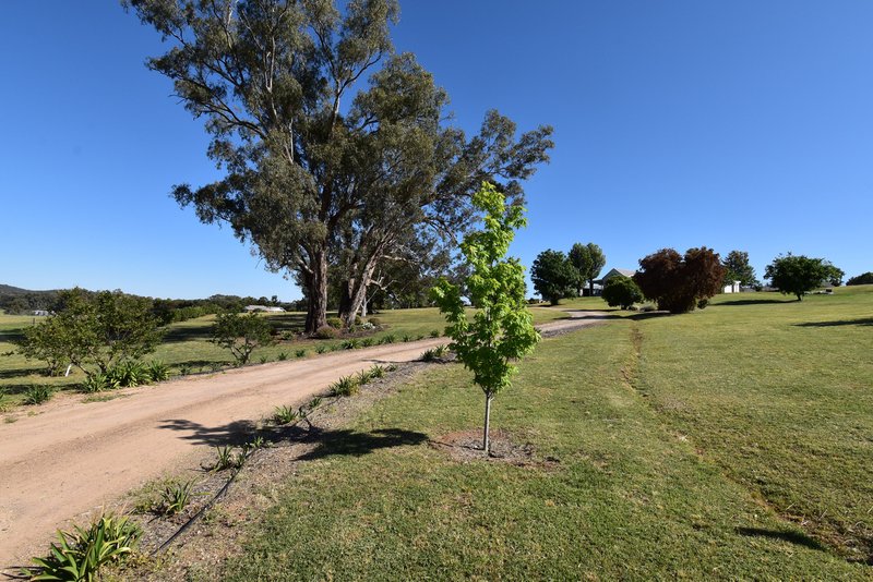 Photo - 7 Pindari Grove, Montefiores NSW 2820 - Image 34