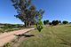 Photo - 7 Pindari Grove, Montefiores NSW 2820 - Image 34