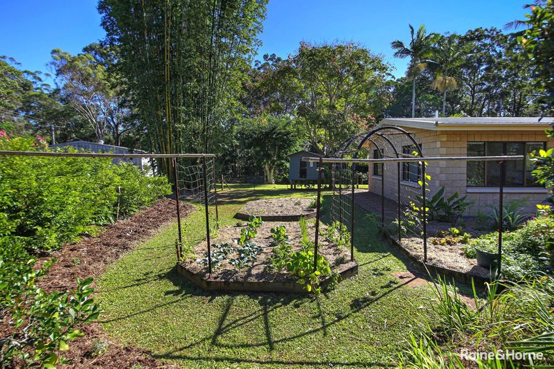 Photo - 7 Ponderosa Drive, Cooroy QLD 4563 - Image 3